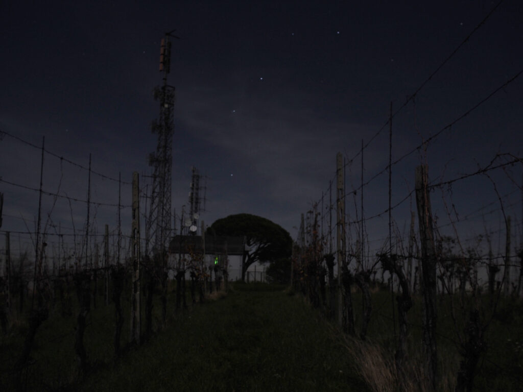 Azienda
