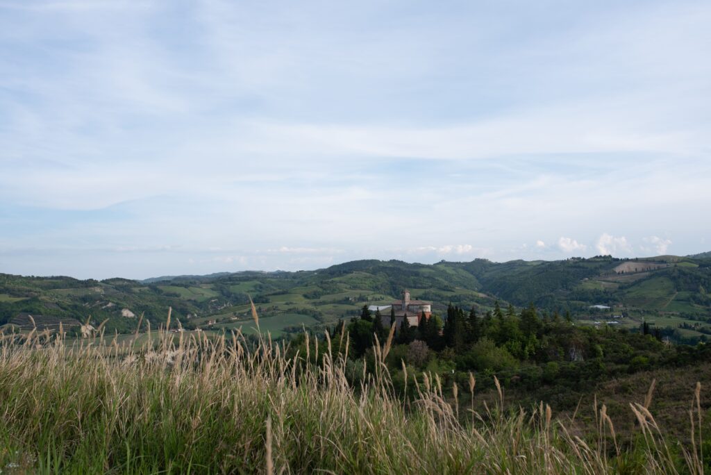 Azienda