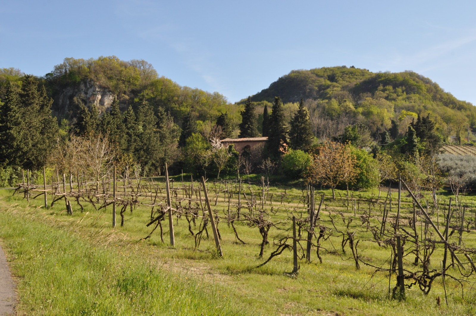 Azienda